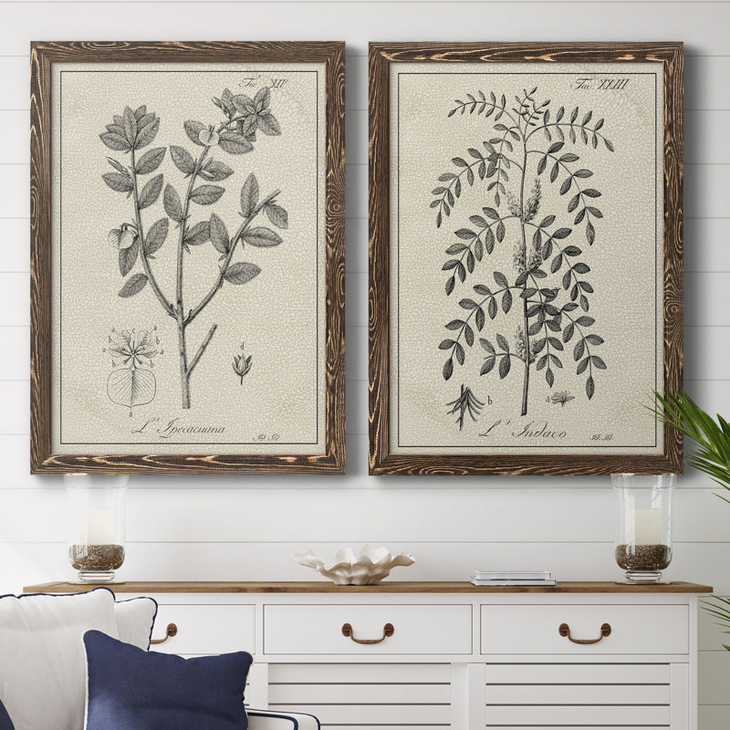 Antique botanique noir et blanc antique - ensemble de 2 reproductions d'art, H 31,5 po x l 47 po x P 1,5 po, Pas de tapis