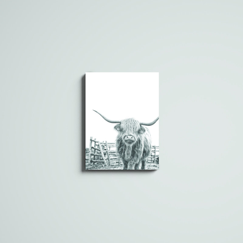 Noir et blanc Highland Cow - impression, H 24 po x l 18 po