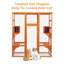 Cat Cage-513349781