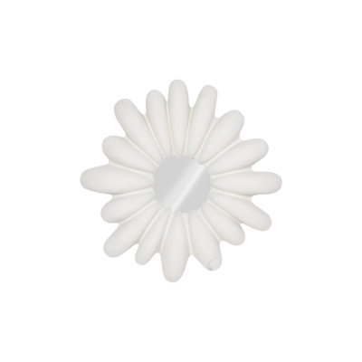 Radial Shell Mirror, White Stone