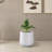 Sykes Pot Planter-142813246