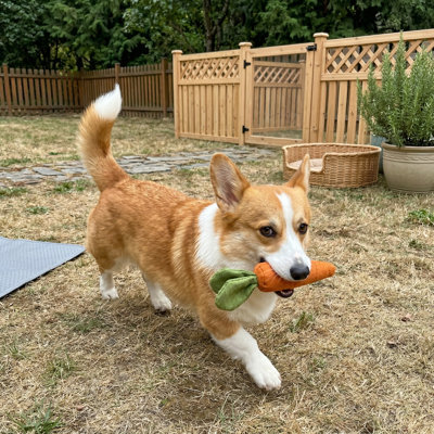 Jouet pour chien en caoutchouc Squeaky