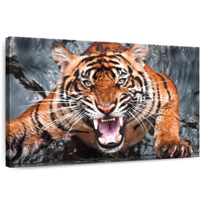 Célèbre fureur du tigre