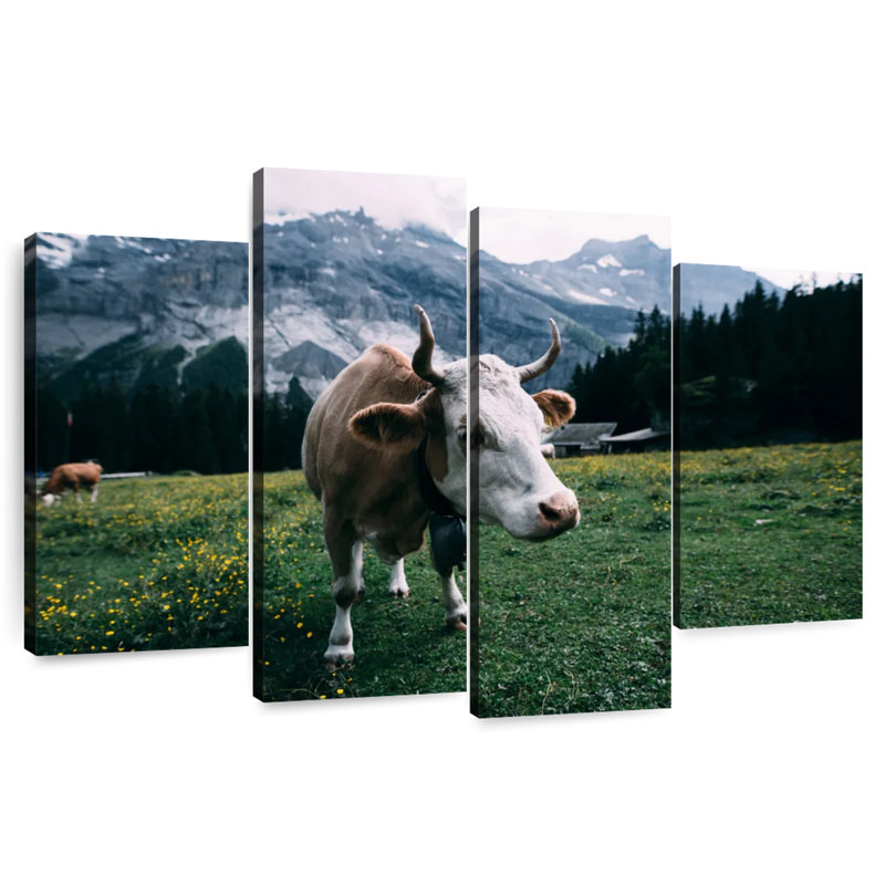 Vache curieuse, H 22 po x l 36 po
