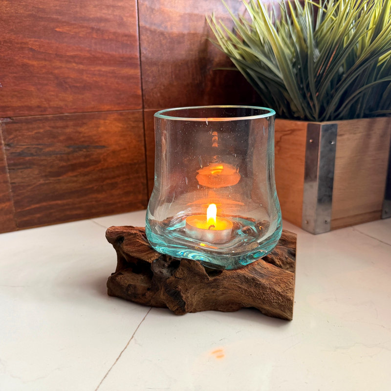 Support à thé en verre transparent Coastal avec base en bois flotté naturel, hauteur de 5,25 pouces