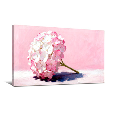 Plantes et fleurs, fleurs d'hortensias