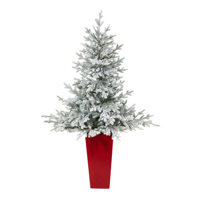 Fraser Easy Set-Up Lighted Christmas Tree
