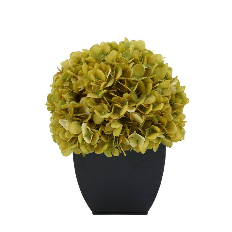 Arrangement floral hortensia en pot, Sauge