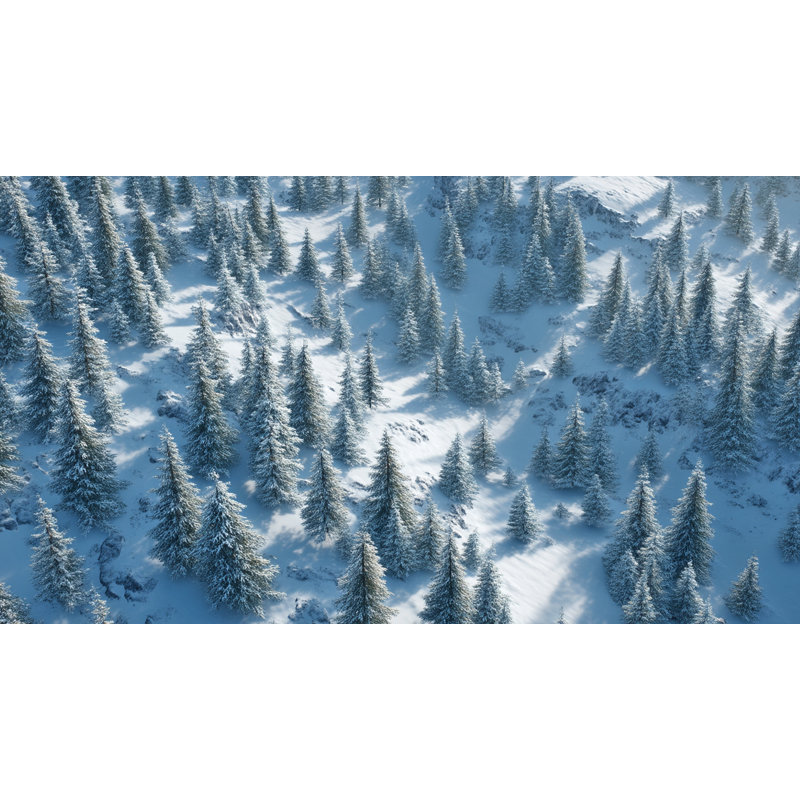 «Snowy Pine Ridge from Above», art mural sur toile tendue, H 24 po x l 42 po
