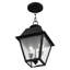 Lanterne suspendue d'extérieur 2 lumières Arnetria-22670195