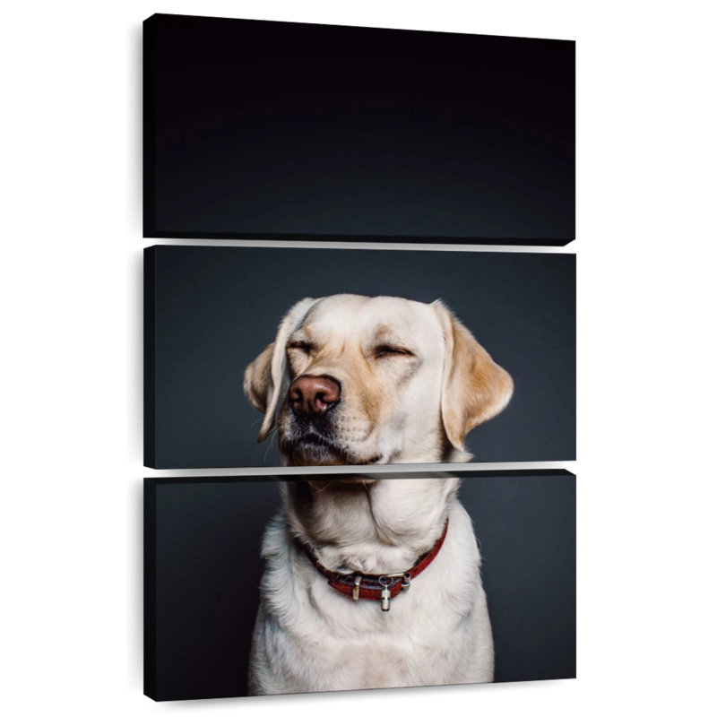 Brampt Squinting Labrador, 32" H x 20" W