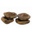 Solid Wood Decorative Bowl
