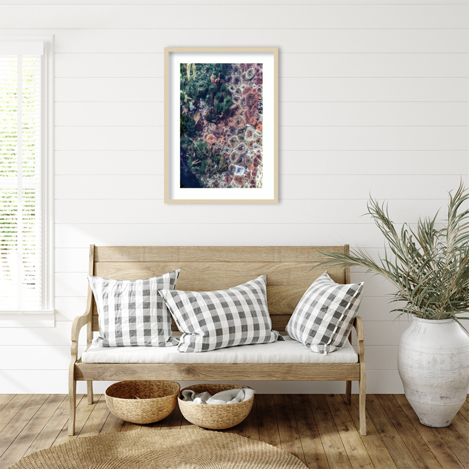 Daisey "Ocean Curiosities" Print, Brown, 33" H x 24" W