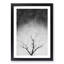 Bird House in a Tree - Picture Frame Graphic Art Print-56862824-56862827