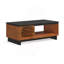Table basse élégante et fonctionnelle avec portes et tablette, un ajout parfait à votre salon.