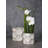 Ceramic Pot Planter