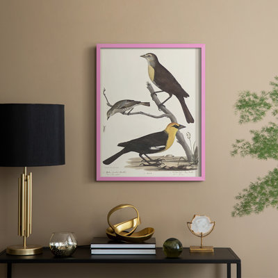 Vintage Animal Print XVIII Framed Print - Solid Wood