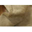 Tapis de qualité supérieure de qualité supérieure Gabbeh 6 x 8 parfait pour une ambiance chaleureuse