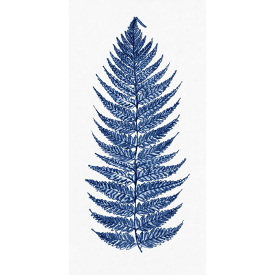 Blue Fern 1 Print