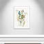Fleurs délicates I - par - impression-87850859-87850857