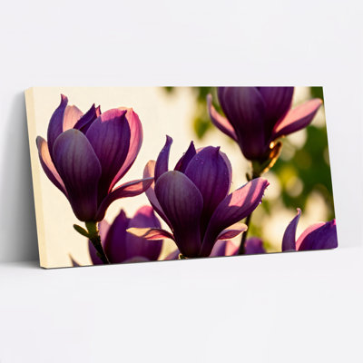 Ensemble de 1 tableau mural sur toile tendue représentant des fleurs de magnolia violet.