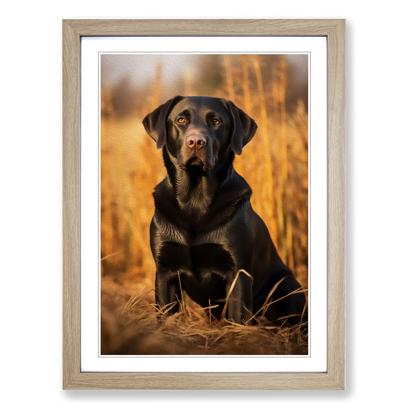 Labrador Retriever Symbolism - Single Picture Frame Print on Wood, Oak Framed, 64cm H x 46cm W x 2cm D