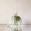 Stainless Steel Hanging Plant Pot-2077731254-2077731213