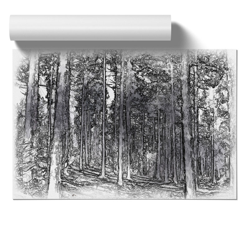 Conifer Tree Forest Sketch - Frameless Print, 59cm H x 84cm W x 0.1cm D