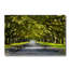 The Path Home Print-45586261-45586258
