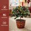 1.77' H Artificial Pine Christmas Tree