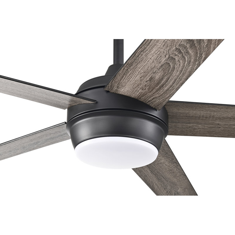 52'' Ceiling Fan with LED Lights