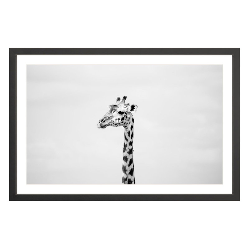 "Gerald" by Amanda Anderson, Black, 24" H x 36" W x 1.88" D