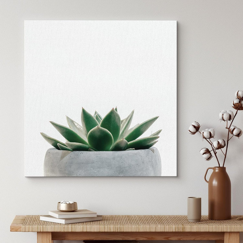 «Green Succulent In Grey Pot Nature», impression sur toile multicolore