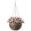 Eckart Hanging Planter