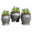 Pot de fleurs en pot