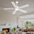 52 inch Modern White Ceiling Fans with Led Lights and Remote/app Control, Reversible DC Motor, 3CCT Dimmable, Noiseless, Ceiling Fan for Bedroom, Indoor/Covered Outdoor Use-117580825-117580826