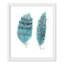 «Feathers in Turquoise II», art encadré-47566110-47566106