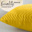 Square Scatter Cushion Cushion Cover-538576485