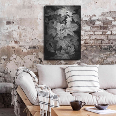 " Hydrangea Leaves In Black And White " by Debra Van Swearingen