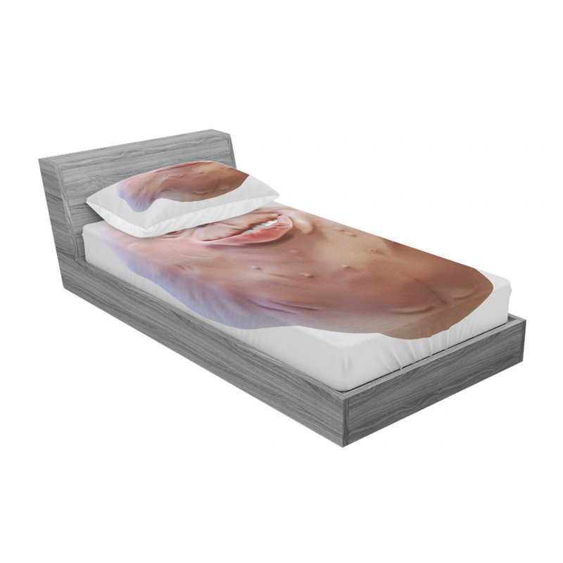 Microfiber Sheet Set, Twin Sheet Set with 1 Pillowcase