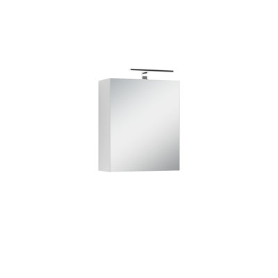 Euda W 600mm H Surface Frameless Medicine Cabinet with Mirror and 3 Fixed Shelves