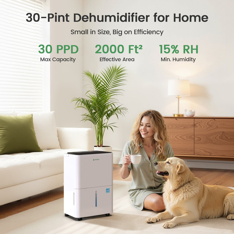 Energy Star Dehumidifier for Basement and Home – 30 Pint, 2000 Sq. Ft Coverage, Ultra Quiet, Drain Hose Included