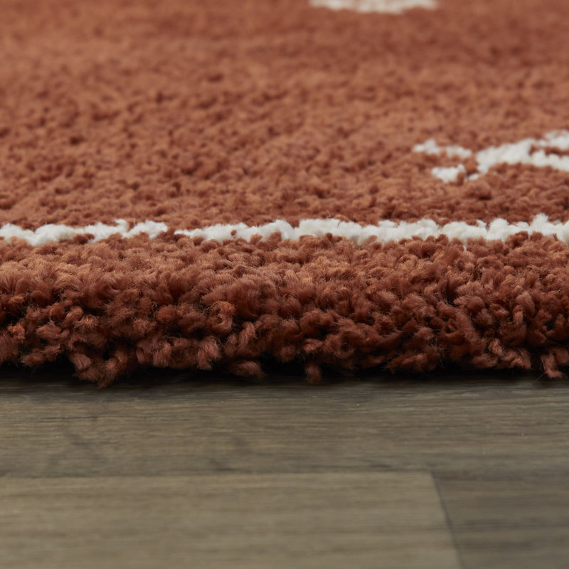 Tapis à poils longs Kashvi Southwestern, Rectangle 7 pi 10 po x 10 pi