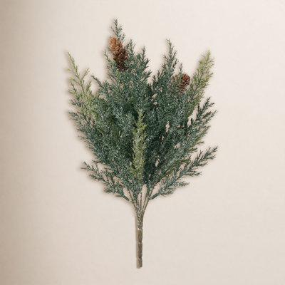 Arborvitae Stems