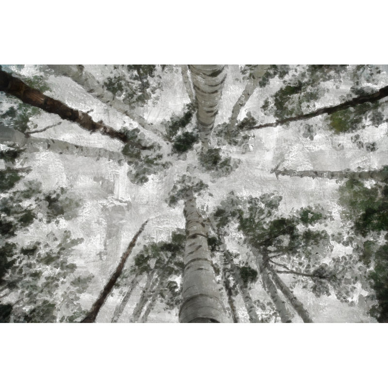 Painted Gray Trees And Sky - Wrapped Canvas Art Prints, 30cm H x 46cm W x 3.8cm D