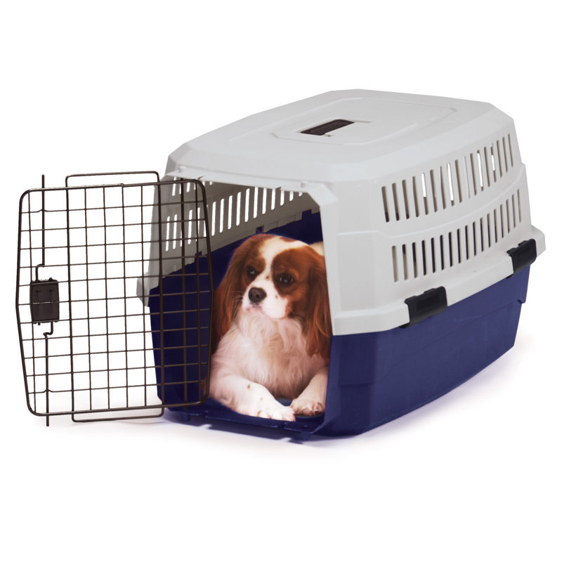 Tucker Murphy Pet ™, bleu, Petit (H 7,75 po x l 15,5 po x P 22,5 po)
