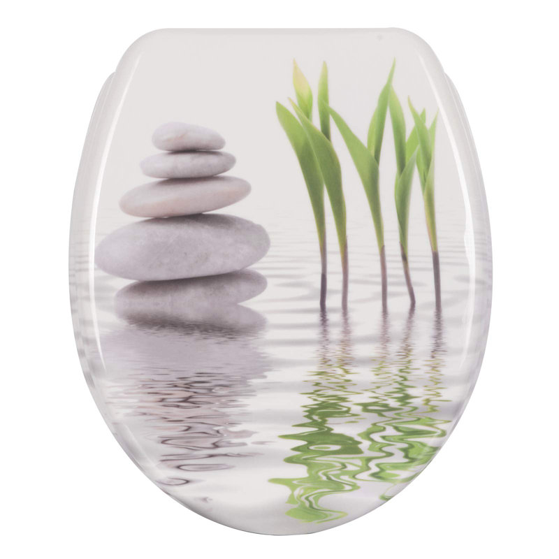 Dejanna Soft Close Elongated Standard Toilet Seat
