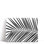 «Palm Tree Leaf On White», reproduction d'art sur toile