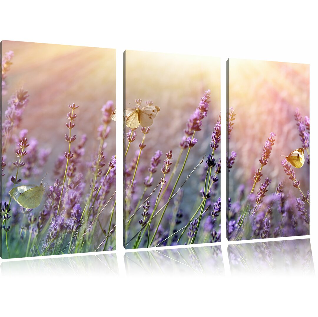 3-tlg. Leinwandbilder-Set Schmetterlinge auf Lavendelblumen, Fotodruck