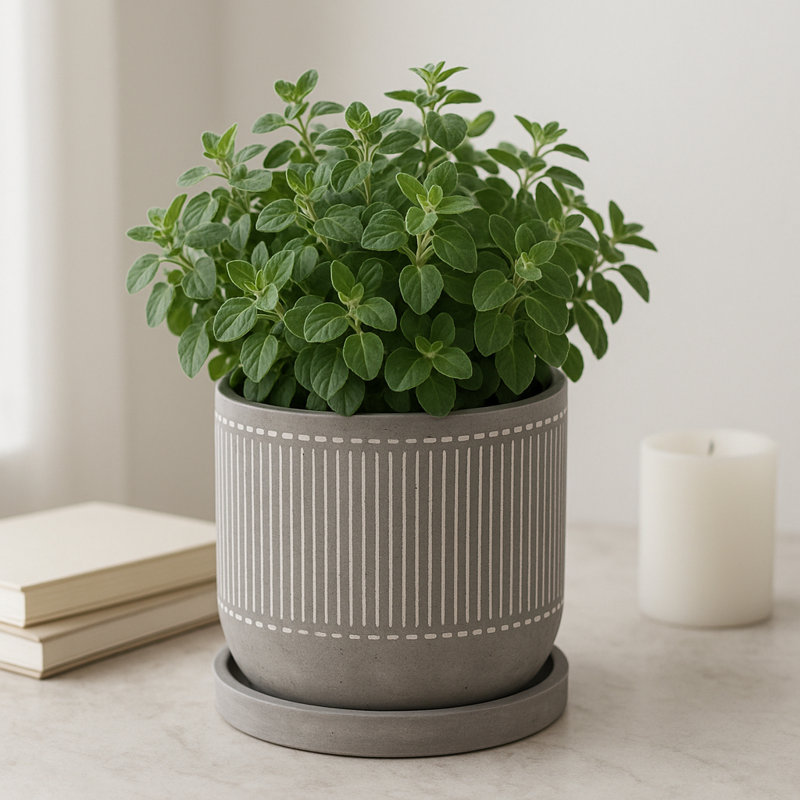 Decorative Line Pattern Planter for Outdoor and Indoor Home Decor - Stylish Cement Flower Pots for Living Room and Patio - 6", Gray & White